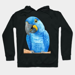 hyacinth macaw watercolor bird parrot painting Hoodie